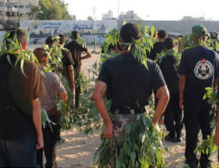 Children at Hamas summer camps undergo paramilitary training (Pictures from the PALDF website, July 22, 2012).