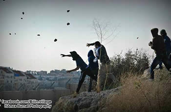 Rioting Palestinians throw stones at IDF forces in Bil'in during the weekly demonstration against the Israeli security fence 