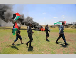 Gazan activists wave Palestinian flags. 