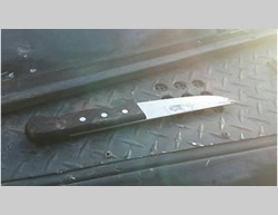 The knife used in the stabbing attack of August 15, 2015 (Office of the Israel Police Force Spokesman, August 15, 2015). 