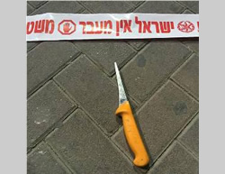 The knife used at the stabbing attack at the Qalandia roadblock (Picture Israel Police Force Spokesman's Unit, October 17, 2015).