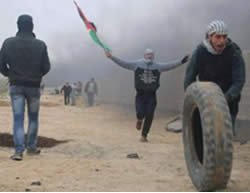 Palestinians riot near the border security fence in the Gaza Strip, west of the village of Nahal Oz (Facebook page of Quds, January 8, 2016).