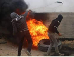 Palestinians riot near the border security fence in the Gaza Strip, west of the village of Nahal Oz (Facebook page of Quds, January 8, 2016).