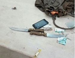 The knives found hidden in the handbag of the Palestinian woman near the Cave of the Patriarchs in Hebron (Facebook page of QudsN, November 1, 2016).