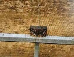 IED placed on the border security fence in the northern Gaza Strip (IDF spokesman, March 7, 2017).