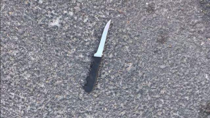 el cuchillo que utilizó el terrorista palestino para realizar el apuñalamiento (cuenta Twitter de PALINFO, 17 de noviembre de 2017)