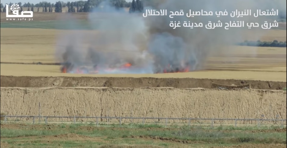 Un incendio en los campos de trigo de una de las localidades circundantes a la Franja de Gaza como consecuencia del lanzamiento de cometas incendiarias desde el este de Gaza (página Facebook de Safa, 29 de abril de 2018)