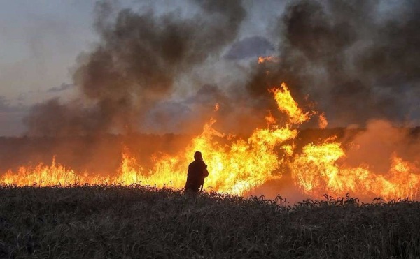 L'incendie provoqué par le cerf-volant (Compte Twitter Palinfo, 29 mai 2018)