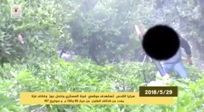 Rocket fire documented in a video produced by the PIJ's military wing (website of the PIJ's military wing, May 30, 2018).