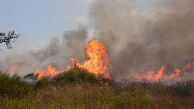 Ein Feuer, das in den Feldern von Netiw Ha'assara in Folge eines Branddrachens ausgebrochen ist (Twitter-Account von PALINFO, 2. Juni 2018)