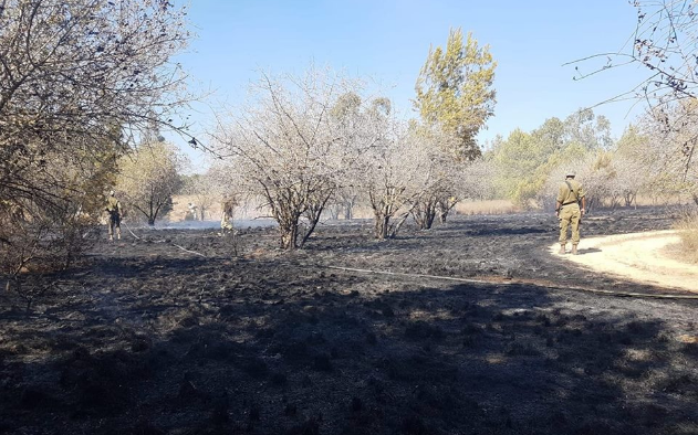 Aftermath of a fire in the Be'eri Forest, caused by an incendiary balloon launched from the Gaza Strip (Palinfo Twitter account, August 17, 2018).