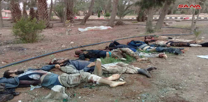 Bodies of ISIS operatives who were killed during the operation to free the Druze abductees and their children (SANA, November 9, 2018).