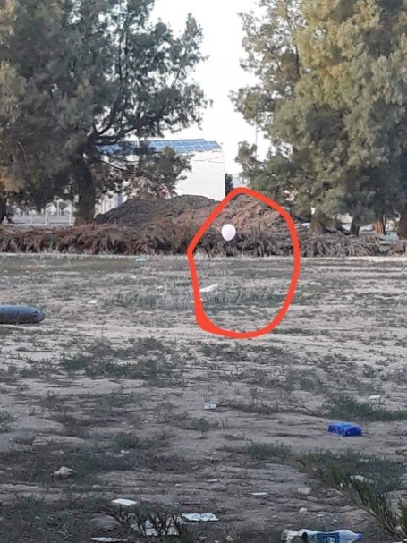 A booby-trapped balloon launched from the Gaza Strip on February 3, 2019 that landed in an open area (Palinfo Twitter account, February 3, 2019).