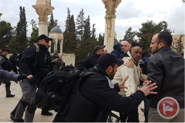 Palestinians clash with the Israeli security forces on the Temple Mount (Ma'an, February 18, 2019). 