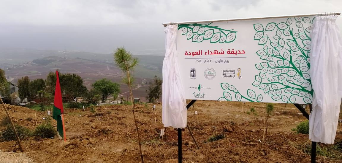  The grove of trees planted for Palestinian fatalities, Adeisseh, south Lebanon ("Global campaign for the return to Palestine" Facebook page, March 31, 2019).