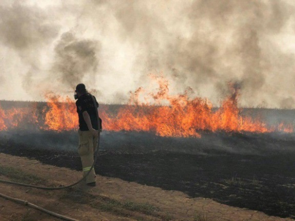 כיבוי שריפות ביישובי עוטף עזה בעקבות שיגור בלוני תבערה (חשבון הטוויטר PALINFO, 23 במאי 2019)