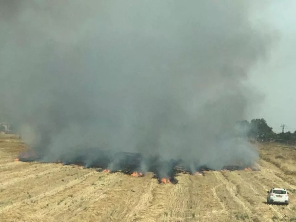 שריפה באזור שער הנגב בעקבות שיגור בלון תבערה מהרצועה (חשבון הטוויטר PALINFO, 24 במאי 2019). 