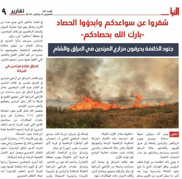 Article de l'hebdomadaire Al-Nabā 'appelant à l'incendie de champs en Irak et en Syrie (Télégramme, 23 mai 2018)