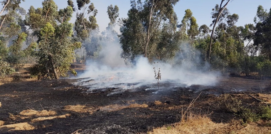 Fire in a forest in the northwestern Negev, six kilometers from the southern Israeli city of Netivot (Jewish National Fund (JNF) forester Moshe Baruchi, June 24, 2019).