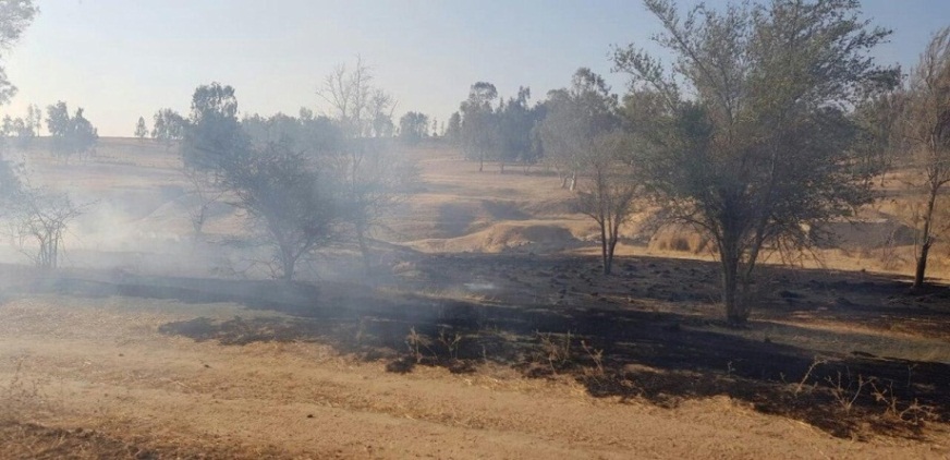 Fire in the Be'eri nature reserve (JNF forester Moshe Baruchi, June 23, 2019).