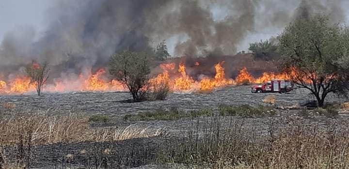 حريق في حرش بئيري عقب إطلاق بالون حارق (أحد مراقبي الغابات، 28 حزيران / يونيو 2019).