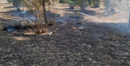 שריפה שפרצה בשדות נגב בעקבות בלון תבערה.