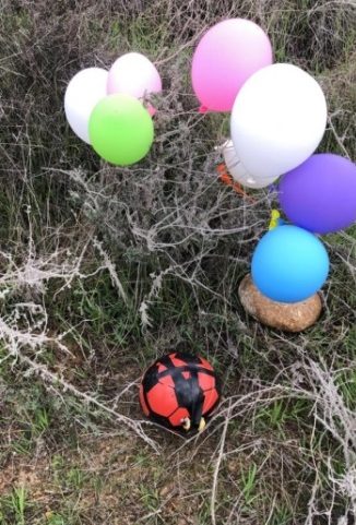 Balloon cluster with a soccer ball full of explosives that landed in the western Negev (western Negev regional council, January 23, 2020).