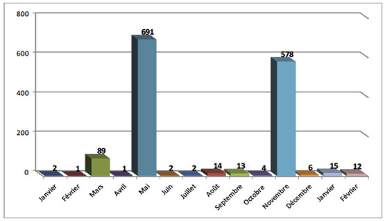 Répartition mensuelle des tirs de roquettes et d'obus de mortier