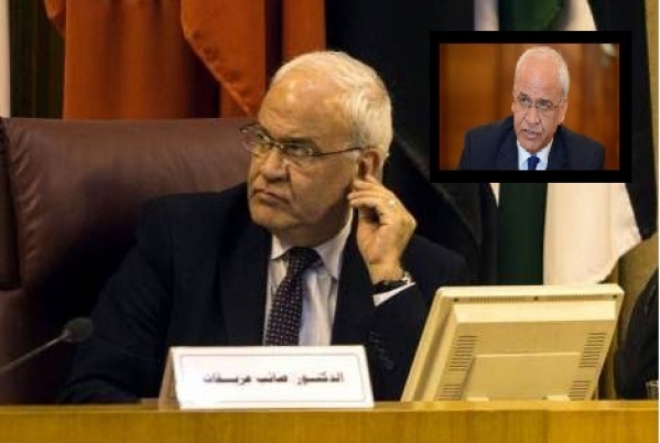 Saeb Erekat delivers a lecture using Zoom (PLO website, May 2, 2020). 