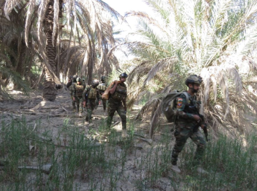 Iraqi army commando force during activity against ISIS southwest of Baghdad (Facebook page of the Iraqi Defense Ministry, May 31, 2020) 