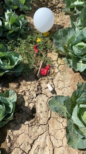 IED balloon located in the field of an Israeli community in the western Negev (Twitter account of Matan Tsuri, August 10, 2020).