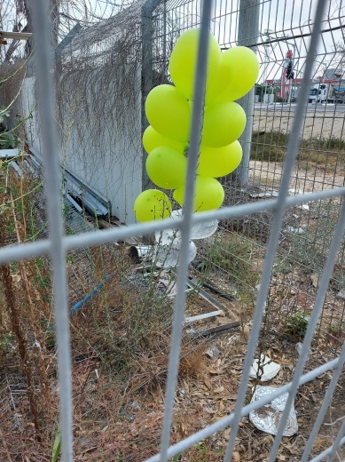 A balloon cluster that landed in an IDF base (Twitter account of Matan Tsuri, August 12, 2020).