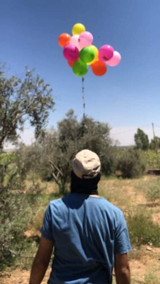 An operative of the PIJ's Baraq units launches an incendiary balloon cluster (Facebook page of the northern Gaza Strip Baraq unit, August 17, 2020). 