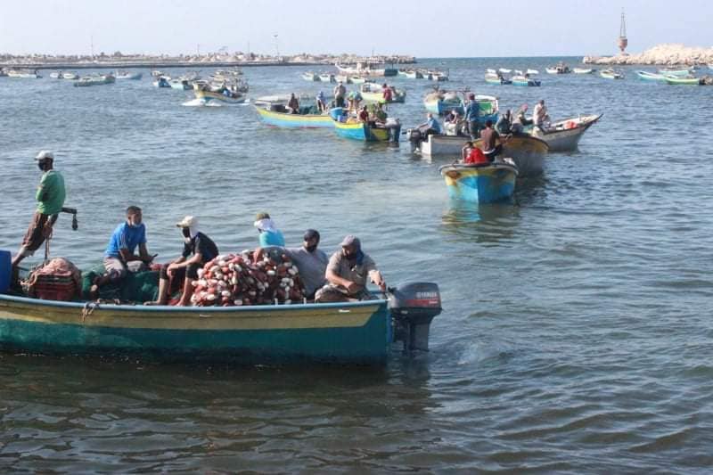 Gazan fishermen return to work (Facebook page of the ministry of agriculture in Gaza, September 2, 2020).