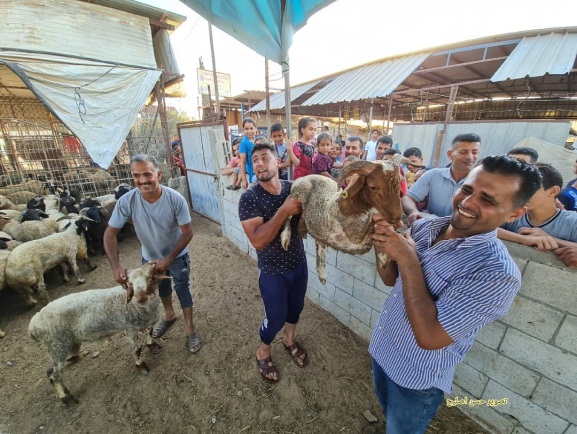 תנועת מסחר ערה בשוקי בעלי החיים ברצועה לקראת חג הקורבן (חשבון הטוויטר של חסן אצליח, 2 ביולי 2021) 