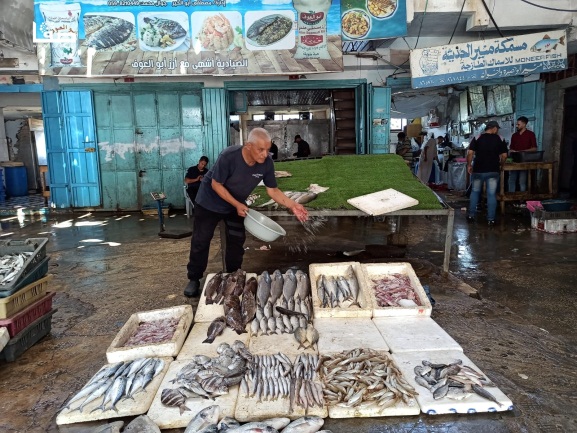 A Gazan fisherman displays his catch after the fishing zone was enlarged (Safa Facebook page, September 2, 2021). 