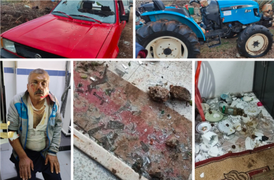 Pictures of settler violence published by the Wafa News Agency (Wafa website in English, December 17, 2021). 