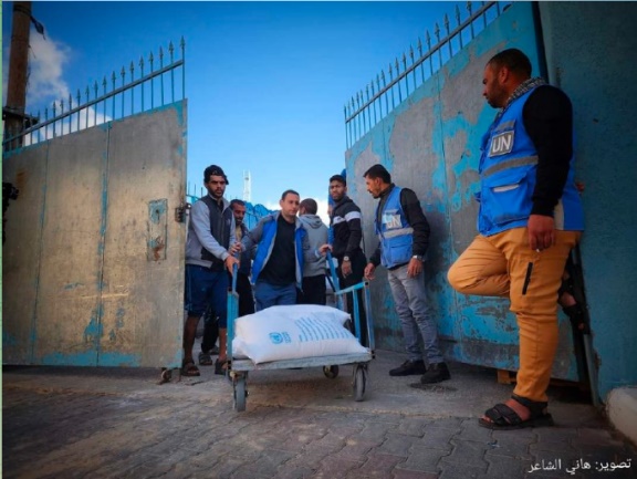 Distribution of flour to residents in the southern Gaza Strip (Husam Abu Shakra’s Telegram channel, November 21, 2023) 