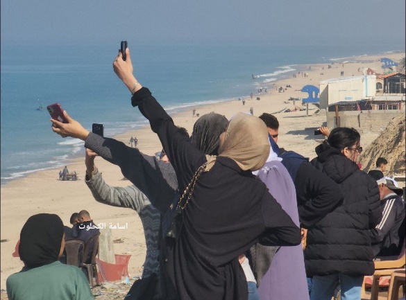 Due to communication and reception problems in the Gaza Strip, displaced persons in Deir al-Balah look for good reception areas at the beach for their mobile phones (QudsN X account, January 22, 2024)