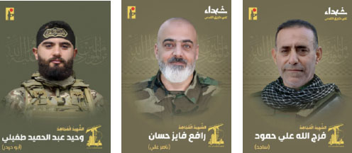 The Hezbollah fatality (Hezbollah information Telegram channel , April 15-May 1, 2024)