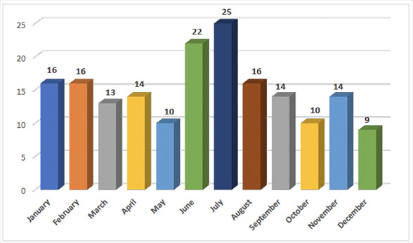 Monthly distribution of critical terrorist attacks, 2023