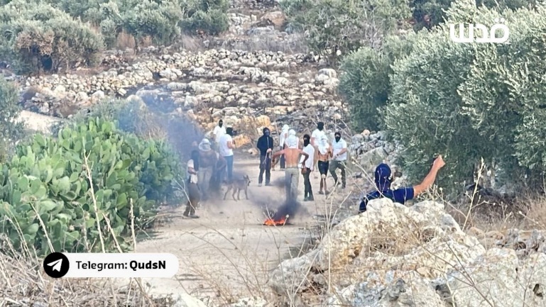 תוקפים יהודים ליד רוג'יב (ערוץ הטלגרם של סוכנות קדס, 24 באוגוסט 2024)