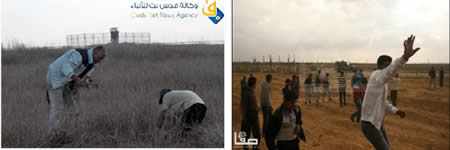 Left: Palestinians approach the security fence in the southern Gaza Strip (Safa News Agency, November 23, 2012). Right: Palestinian farmers work the land east of Khan Yunis near an IDF post (Qudsnet website, November 27, 2012).