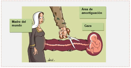 Caricatura publicada en el sitio Filastin, que ilustra la separación de la Franja de Gaza debido a la creación del área de amortiguación entre la Franja y Egipto (Filastin, 30 de noviembre de 2014)